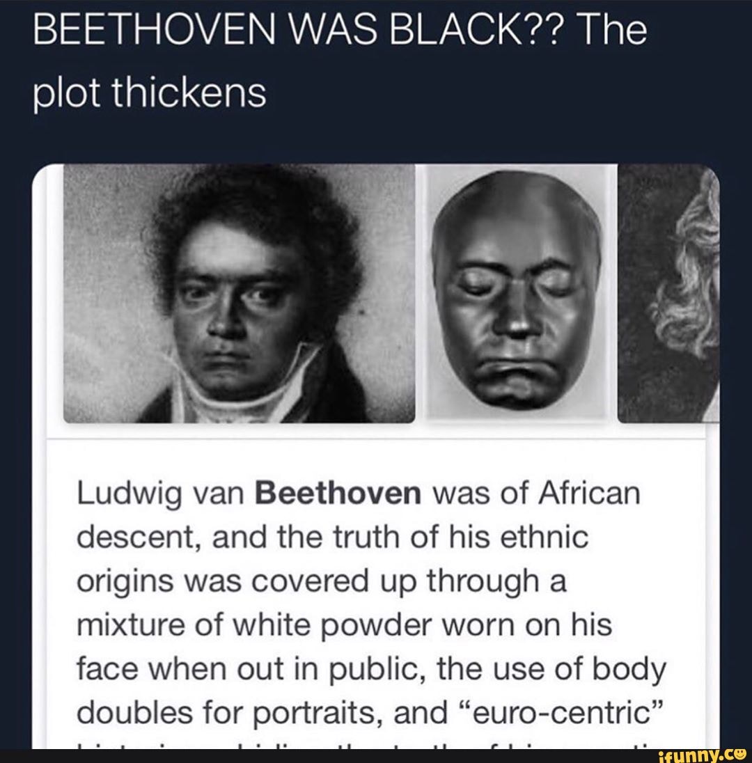 BEETHOVEN WAS BLACK?? The plot thickens Ludwig van Beethoven was of ...