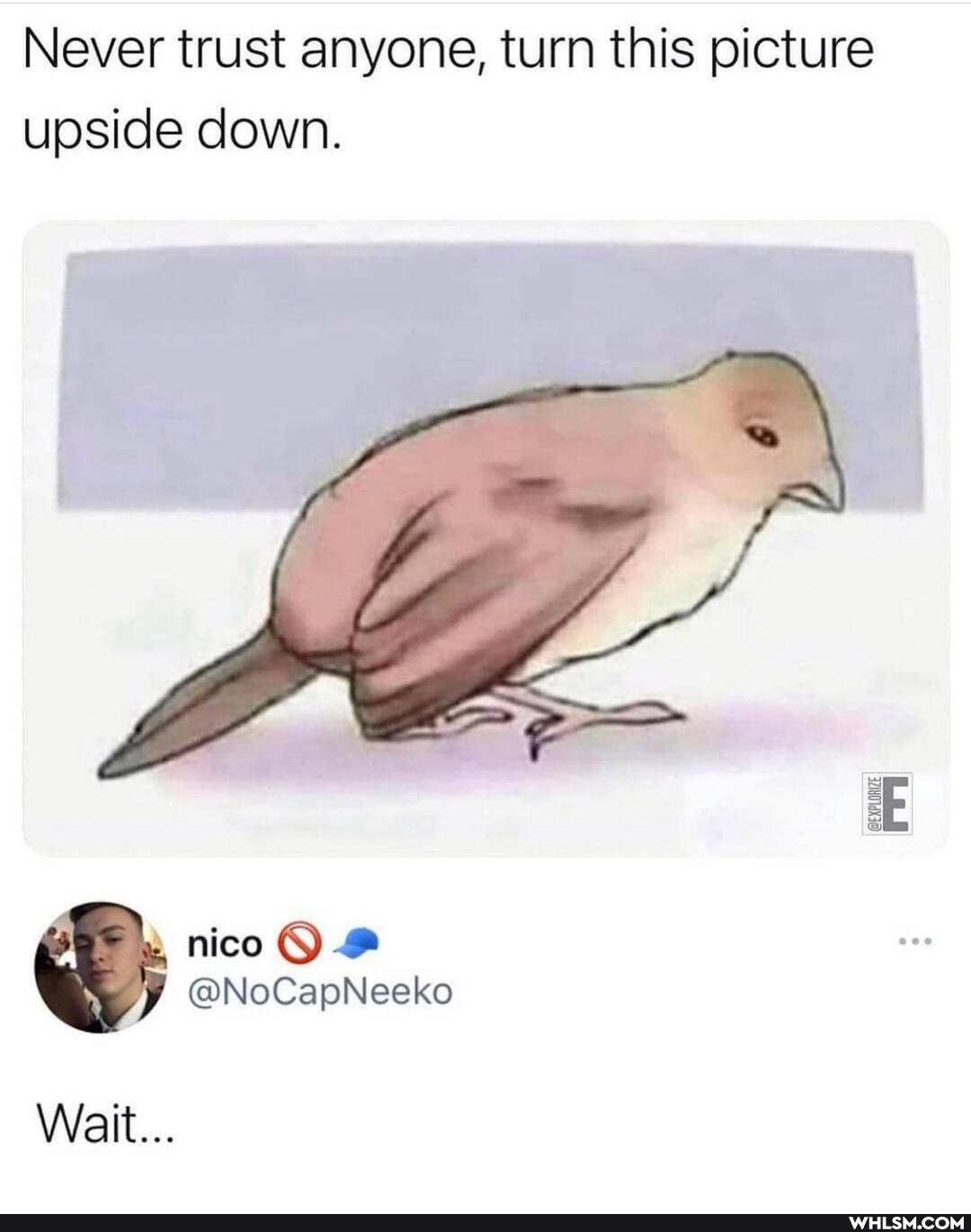 Never trust anyone, turn this picture upside down.
EXPLORE
nico
@NoCapNesko
Wait...