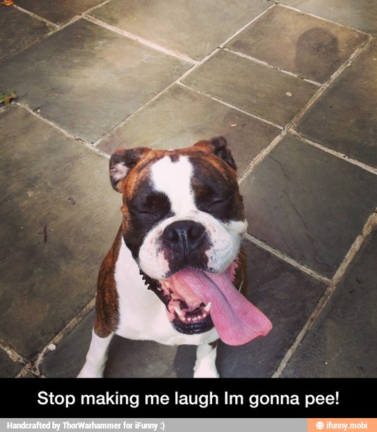 Stop making me laugh Im gonna pee! - Stop making me laugh Im gonna pee!