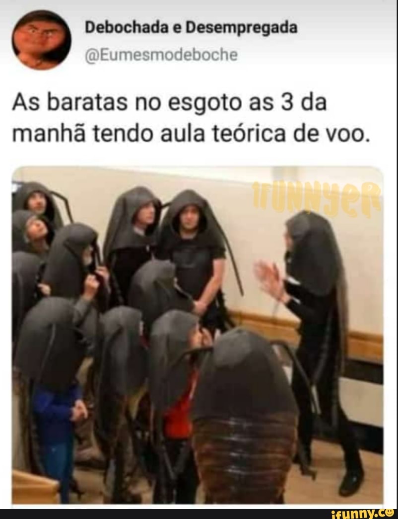 As baratas no esgoto as 3 da
manhã tendo aula teórica de voo.