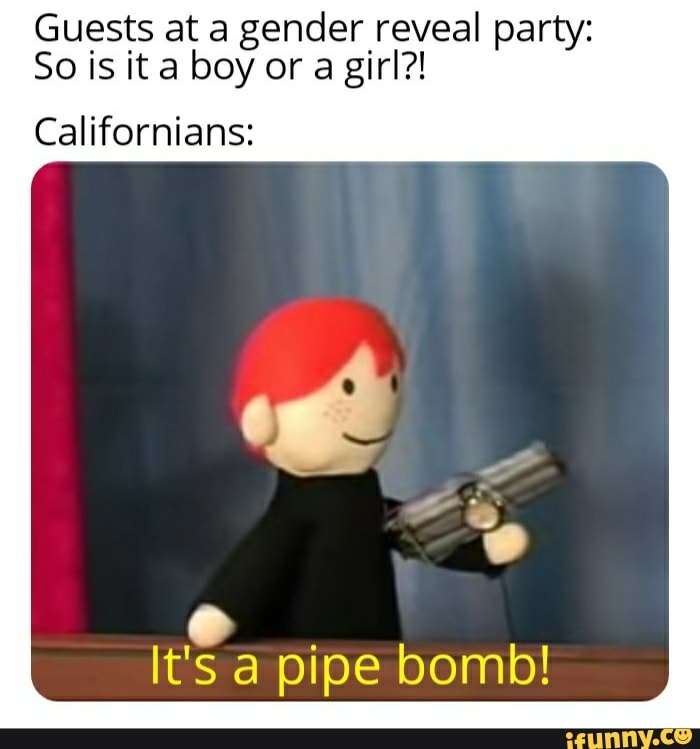 Guests at a gender reveal party:
So is it a boy or a girl?!
Californians:
pipe bomb!