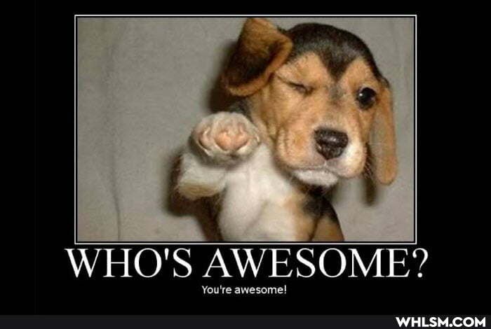 WHO'S AWESOME?