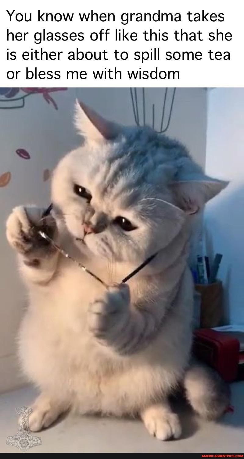 You know when grandma takes her glasses off like this that she is either about to spill some tea or bless me with wisdom