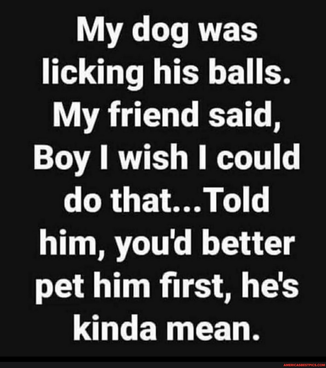 My dog was licking his balls.
My friend said,
Boy I wish could do that... Told him, you'd better pet him first, he's kinda mean.