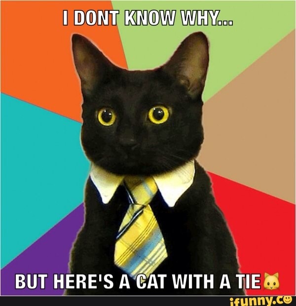 I DONT KNOW WHY...
BUT HERE'S A CAT WITH A TIE