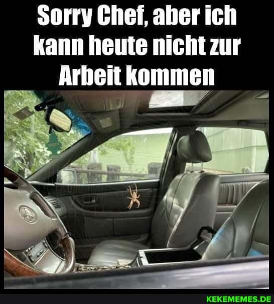 Sorry Chef, aber ich kann heute nicht zur
Arbeit kommen