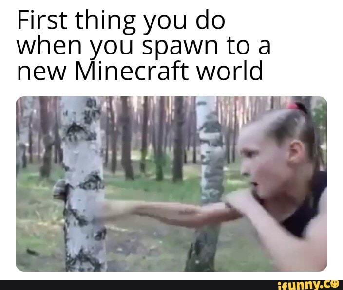First thing you do when you spawn to a new Minecraft world