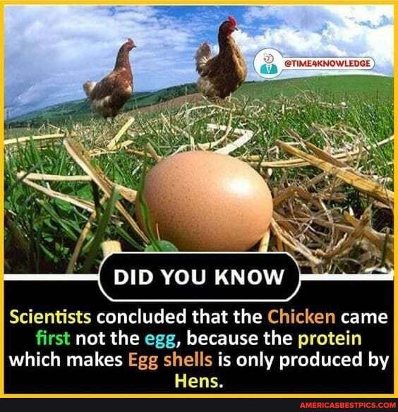 DID YOU KNOW
Scientists concluded that the Chicken came first not the egg, because the protein which makes Egg shells is only produced by
Uame