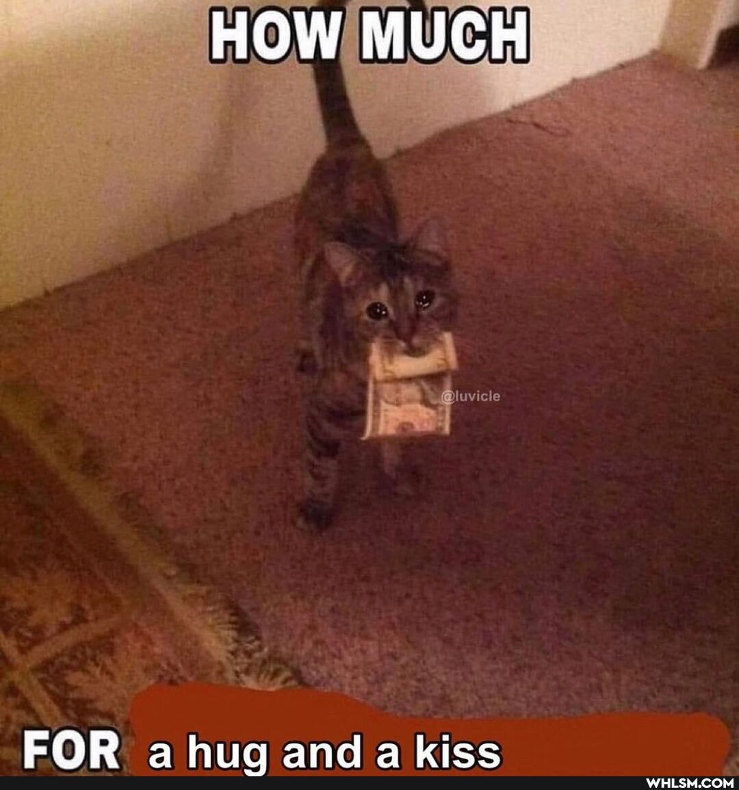HOW MUCH
FOR a hiw and 4 kiec