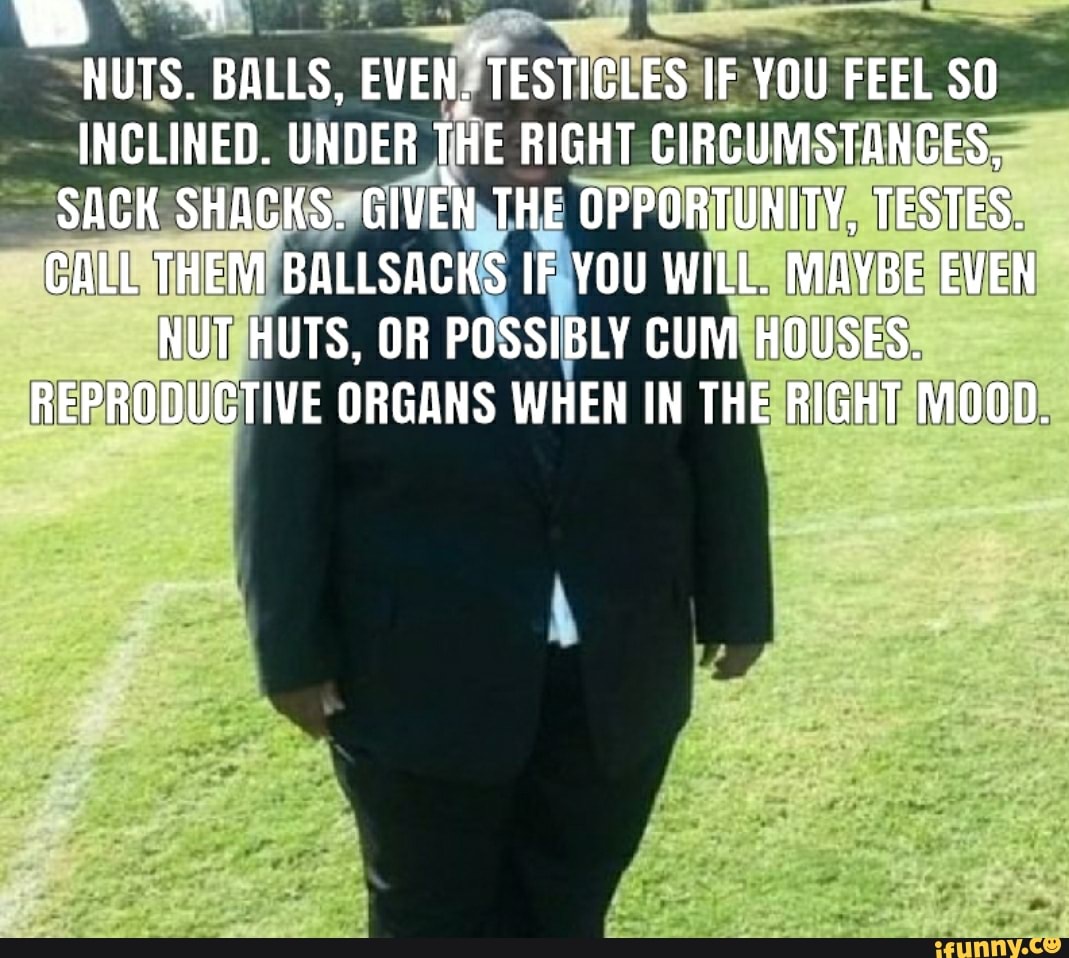 nuts-balls-even-testicles-if-you-feel-so-inclined-under-the-right