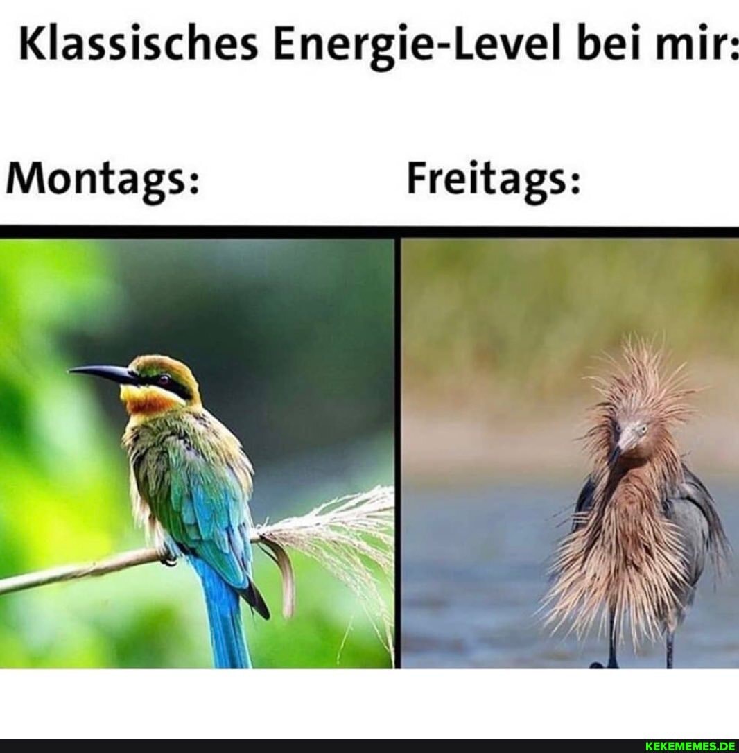 Klassisches Energie-Level bei mir
Montags: Freitags:
