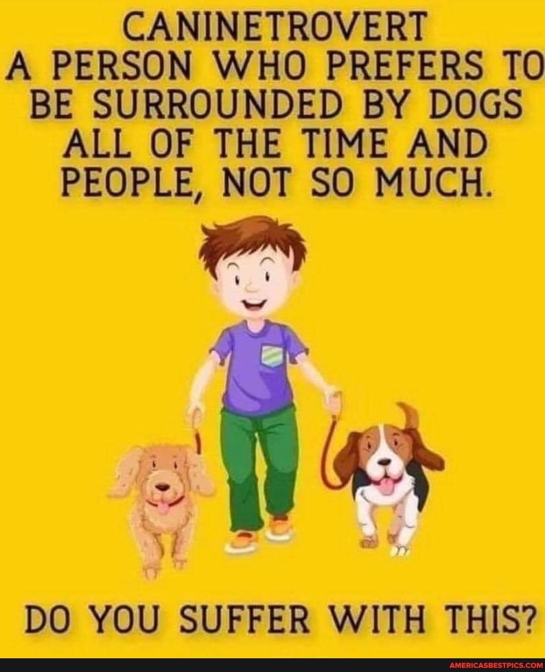 CANINETROVERT A PERSON WHO PREFERS TO BE SURROUNDED BY DOGS ALL OF THE TIME AND PEOPLE, NOT SO MUCH.
DO YOU SUFFER WITH THIS?