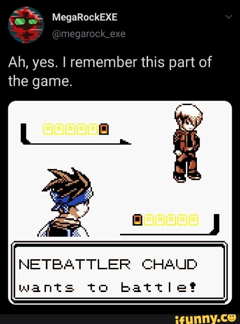 Ah, yes. I remember this part of
the game.
NETBATTLER CHAUD
wants to battlet