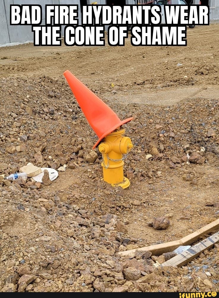 BAD FIRE HYDRANTS WEAR THE CONE OF SHAME