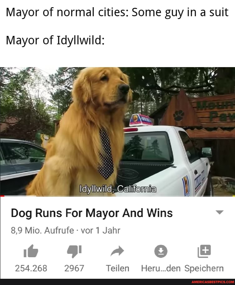 Mayor of normal cities: Some guy in a suit
Mayor of Idyllwild:
Dog Runs For Mayor And Wins
8,9 Mio. Aufrufe - vor 1 Jahr
254.268 2967 Teilen Heru...den Speichern
