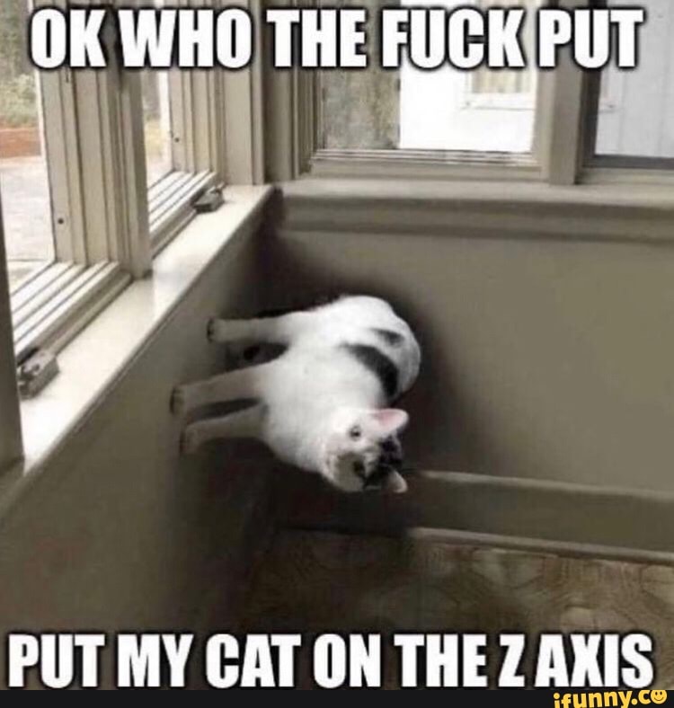 OK WHO THE ee PUT MY CAT ON THE Z AXIS iFunny