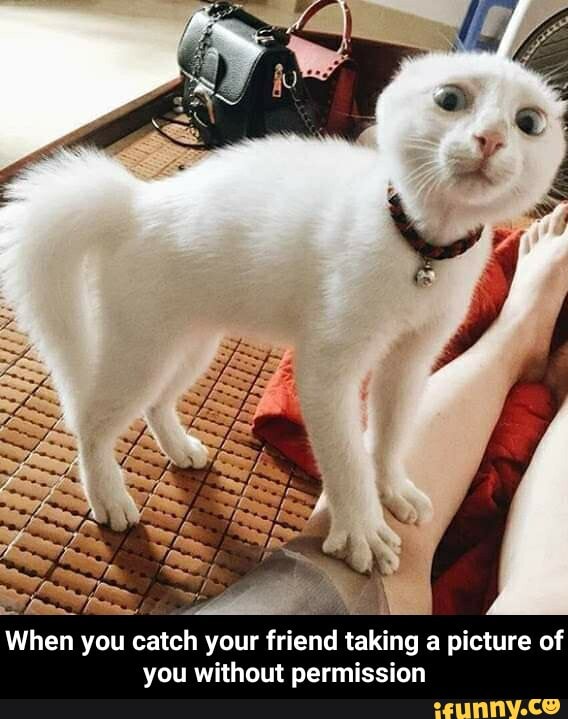 n you catch your friend taking a picture of
you without permission - When you catch your friend taking a picture of you without permission
