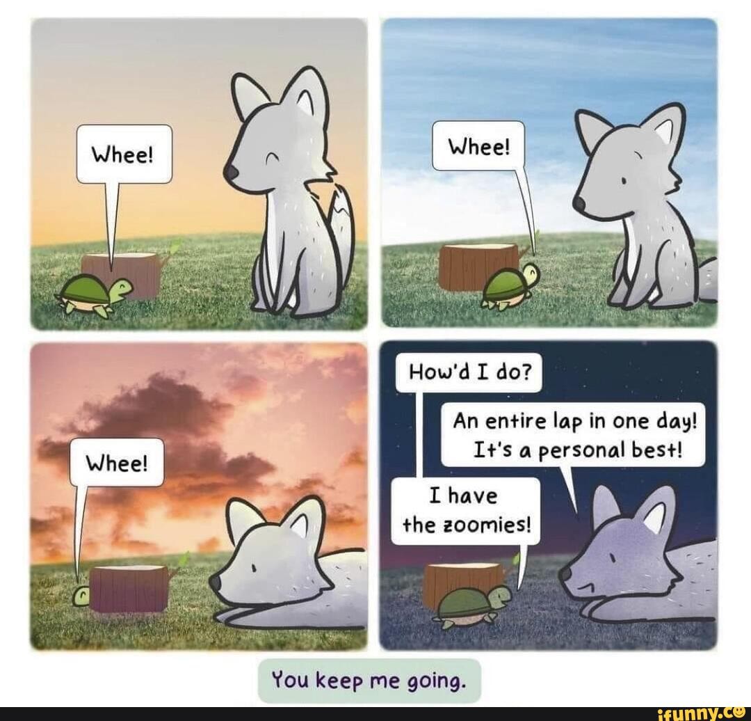 How'd I do? An entire lap in one day! It's a personal best! I have the