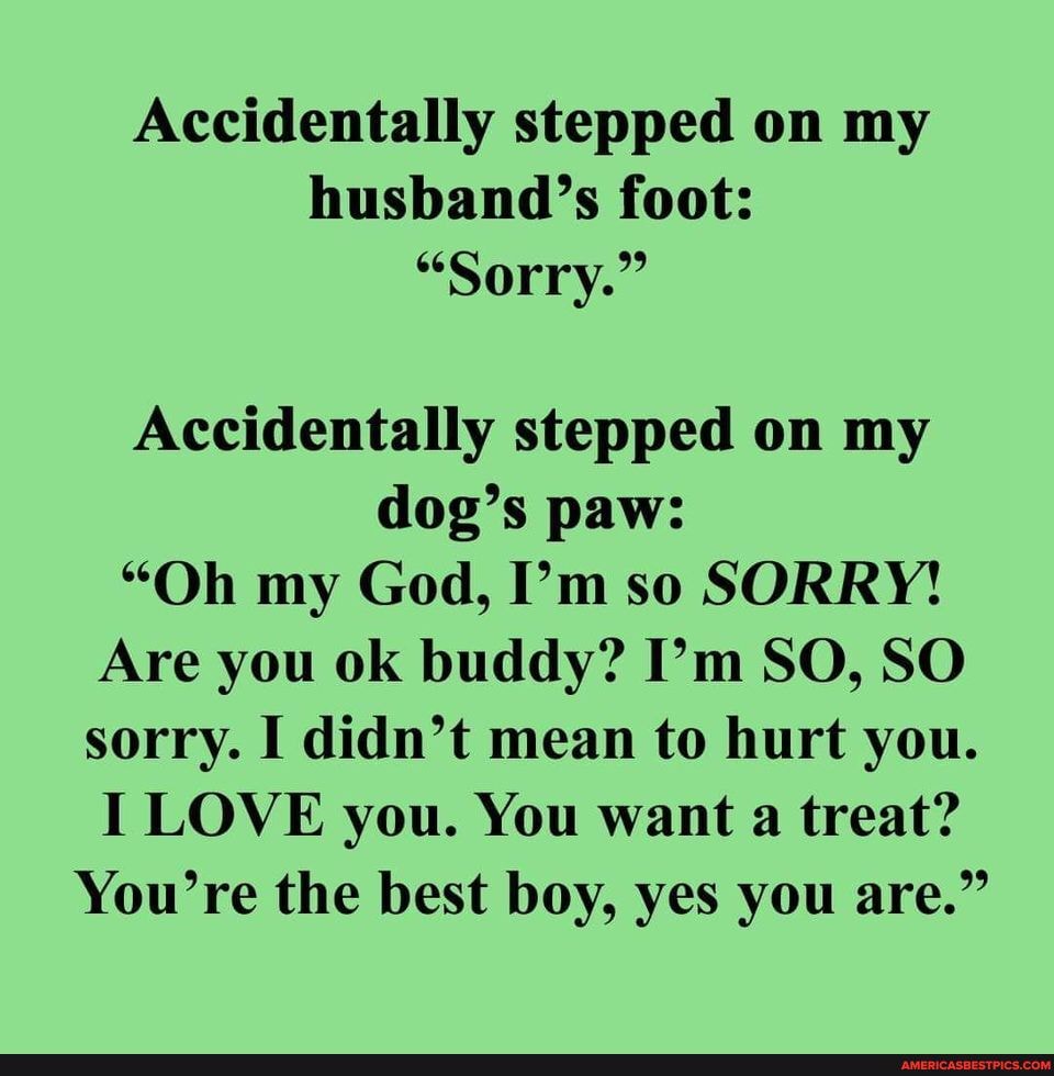 Accidentally stepped on my husband's foot: Accidentally on my dog's "Oh God,