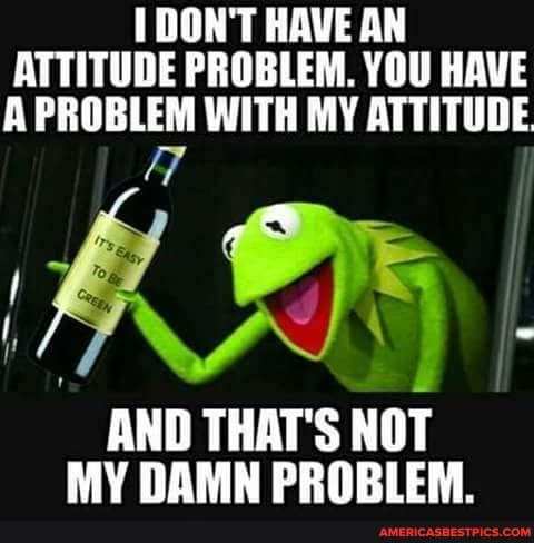 DON'T HAVE AN ATTITUDE PROBLEM. YOU HAVE
A PROBLEM WITH MY ATTITUDE
7 :
AND THAT'S NOT
MY DAMN PROBLEM.