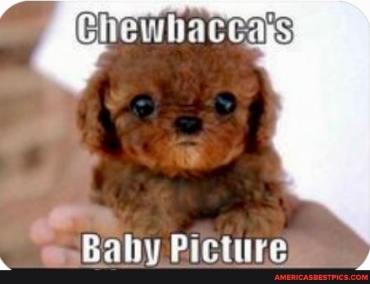 Baby Picture