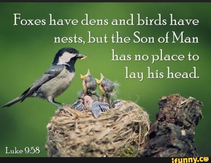 Foxes have dens and birds have nests, but the Son of Man has no place ...