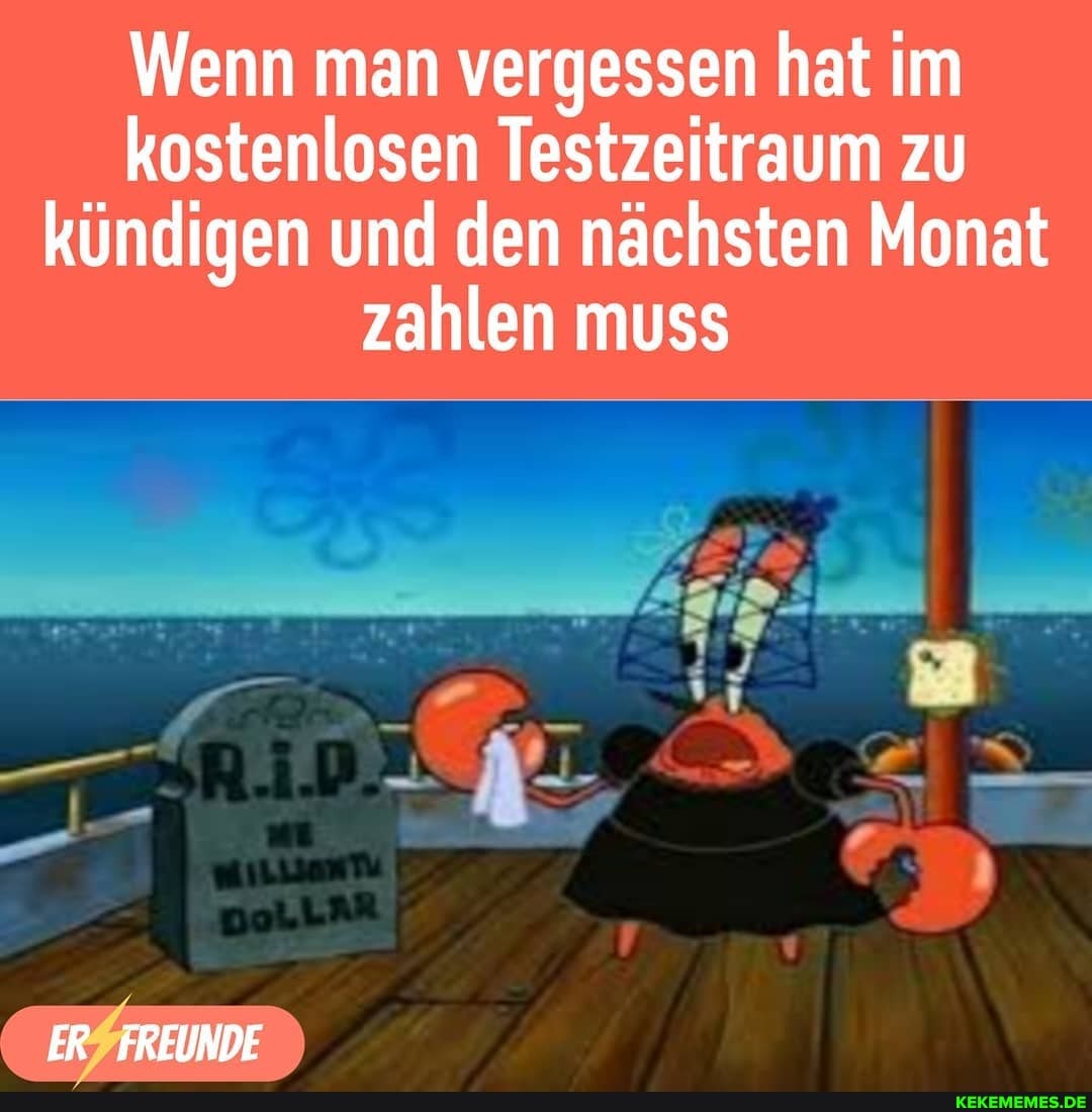 Wenn man vergessen hat im kostenlosen Testzeitraum zu kündigen und den nächsten Monat zahlen muss
ER FREUNDE