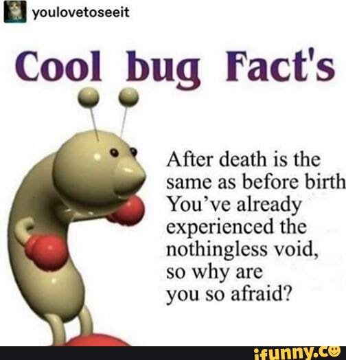 youlovetoseeit
Cool bug Fact's
After death is the same as before birth
You've already experienced the nothingless void,
so why are
you so afraid?