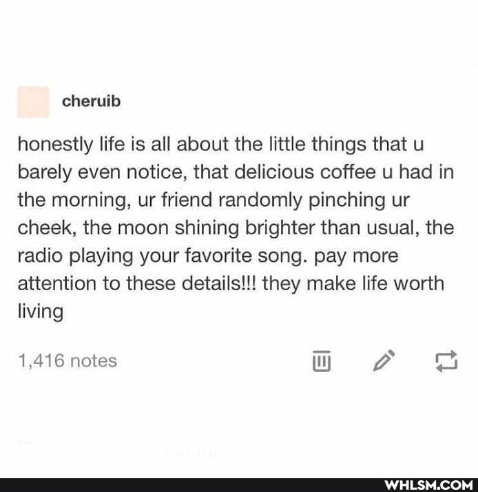 honestly life is all about the little things that u barely even notice, that delicious coffee u had in the morning, ur friend randomly pinching ur cheek, the moon shining brighter than usual, the radio playing your favorite song. pay more attention to these details!!! they make life worth living
1,416 notes
