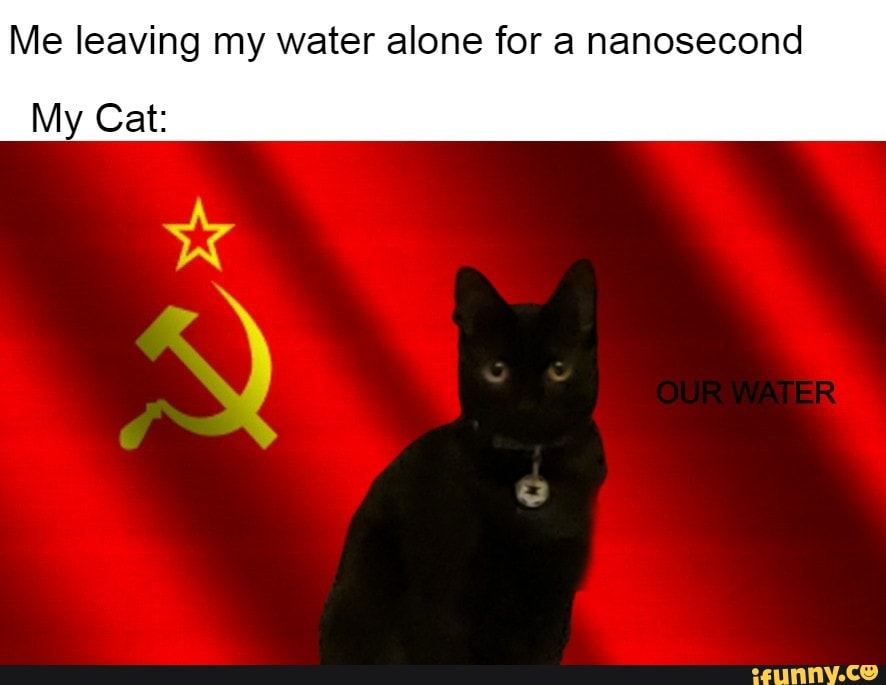 Me leaving my water alone for a nanosecond
My Cat: