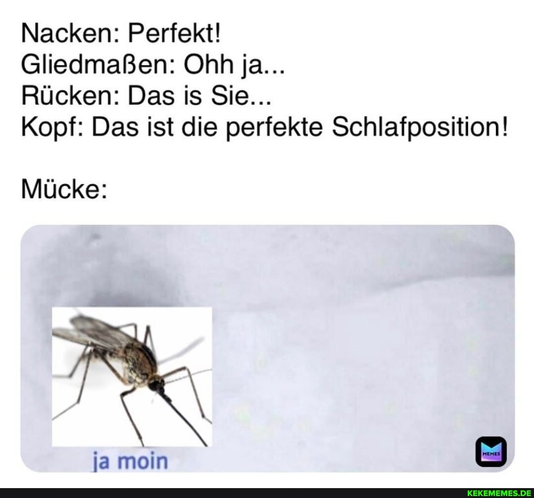Nacken: Perfekt!
Gliedmaßen: Ohh ja...
Rücken: Das is Sie...
Kopf: Das ist die perfekte Schlafposition!
Mücke:
IN
ja mein