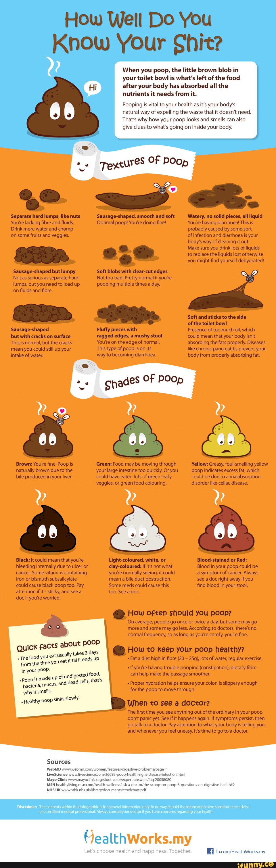 Science stuff - How Well Do You Know Your When you poop, the little ...