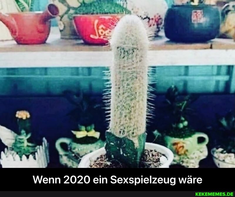 Wenn 2020 ein Sexspielzeug wäre - Wenn 2020 ein Sexspielzeug wäre