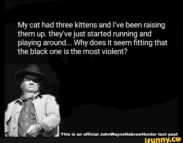 My cat had three kittens and I've been raising
them up. they've just started running and
playing around... Why does it seem fitting that
the black one is the most violent?
y
This is an official JohnWayneHebrewHunter text post