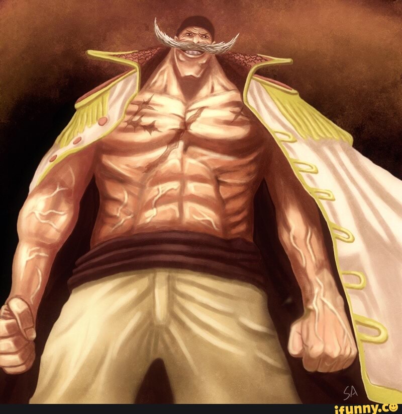 Whitebeard aut