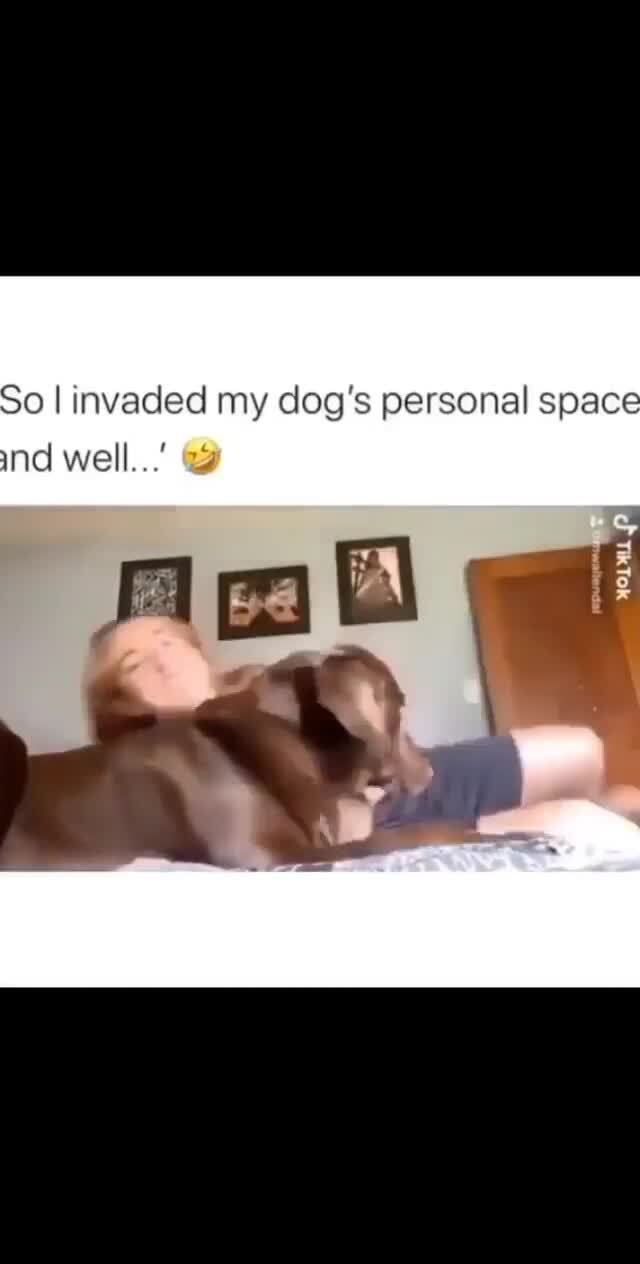 So I invaded my dog's personal space nd well...'