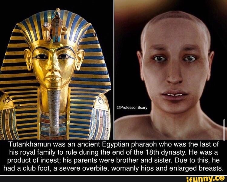 Tutankhamun was an ancient Egyptian pharaoh who was the last of his ...