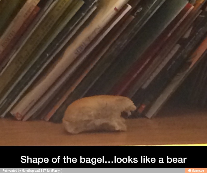 Shape of the bagel...Iooks like a bear - Shape of the bagel…looks like a bear