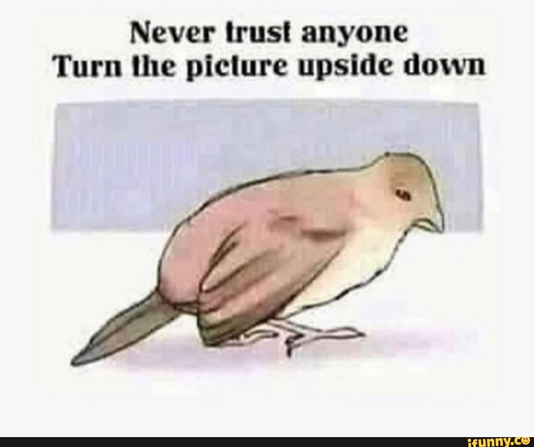 Never trust anyone Turn the picture upside down iFunny