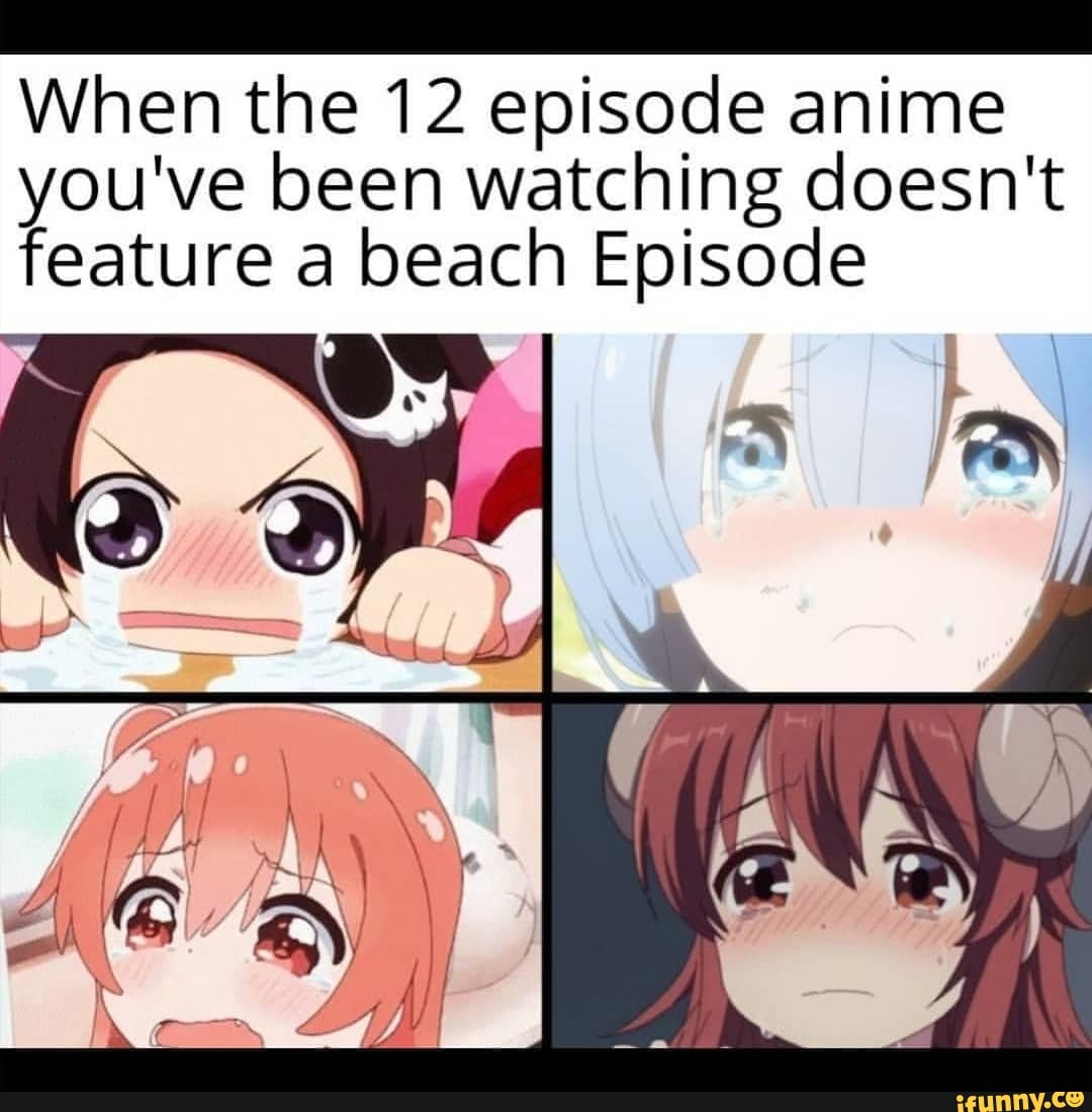 When the 12 episode anime
you've been watching doesn't feature a beach Episode