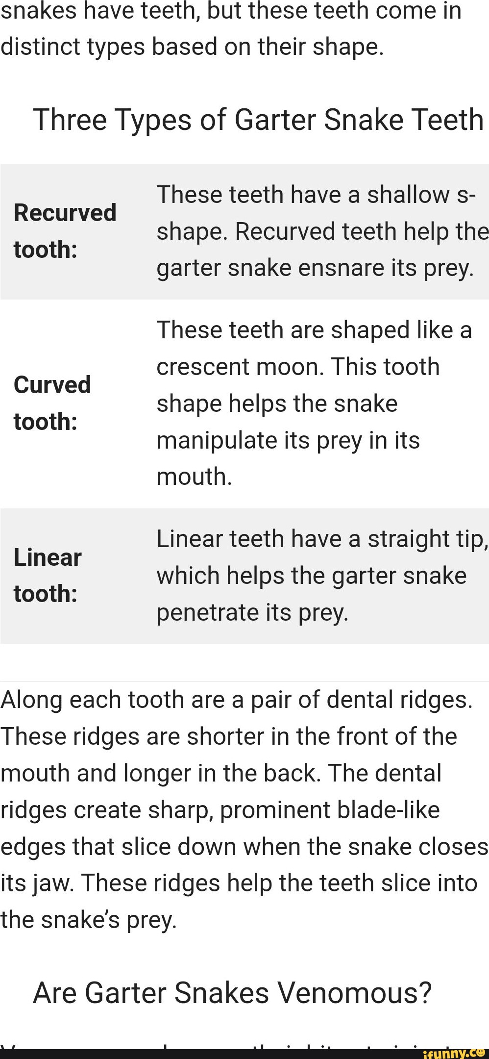 Snakes have teeth, but these teeth come in distinct types based on