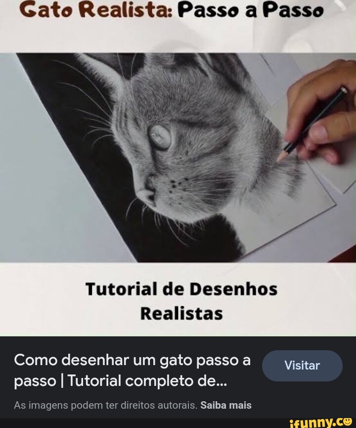 Gato Realista Passo A Passo Tutorial De Desenhos Realistas Como Desenhar Um Gato Passo A