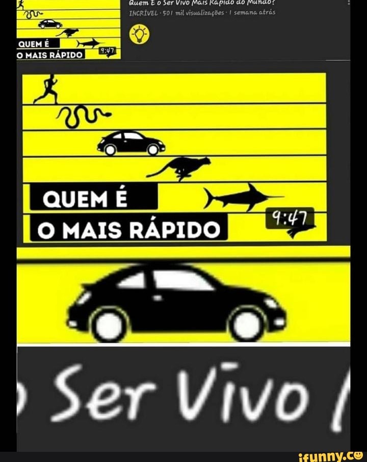 QUEM
I QUEM É IO MAIS RÁPIDO
Ser Vivo