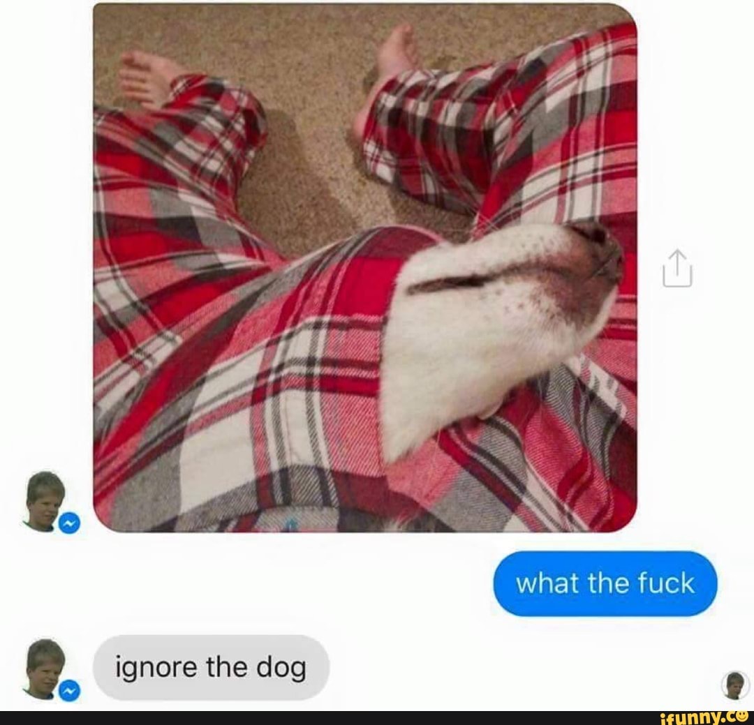 what the fuck
ignore the dog