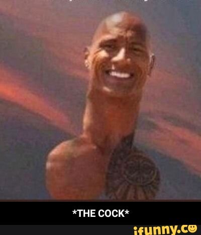 *THE COCK* - *THE COCK*