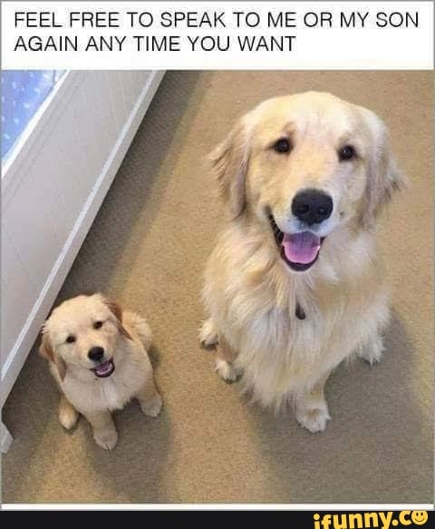 FEEL FREE TO SPEAK TO ME OR MY SON AGAIN ANY TIME YOU WANT