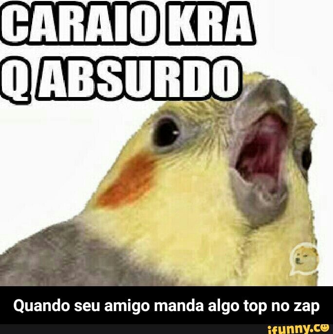 Quando seu amigo manda algo top no zap - Quando seu amigo manda algo top no zap