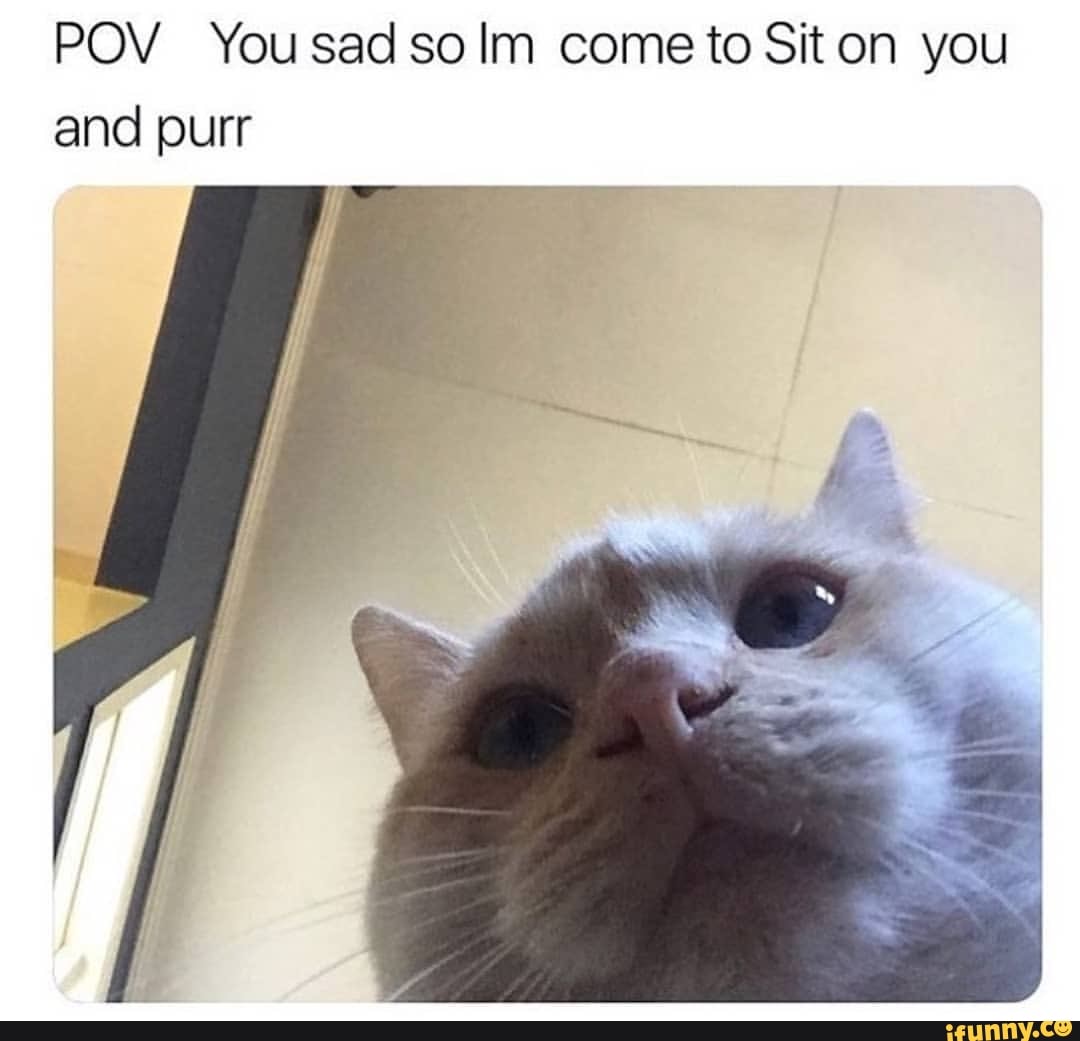 POV You sad so come to Sit on you ourr