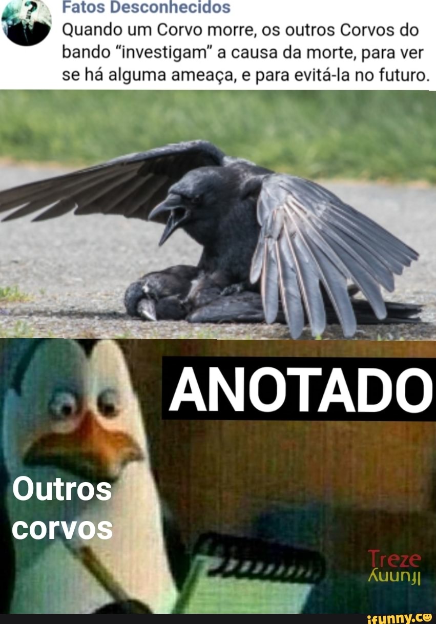 Fatos Desconhecidos
Quando um Corvo morre, os outros Corvos do bando "investigam" a causa da morte, para ver se há alguma ameaça, e para evitá-la no futuro.
ANOTADO
Outros
corvos