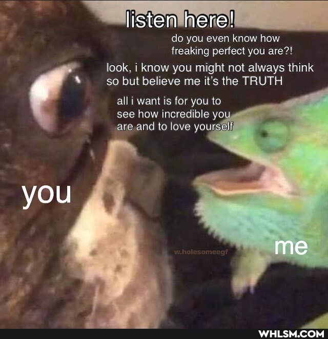 listen here!
do you even know how freaking perfect you are?! look, i know you might not always think so but believe me it's the TRUTH
all i want is for you to see how incredible yo are and to love you:
you
me